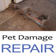 pet-carpet-damage-repair-san-diego